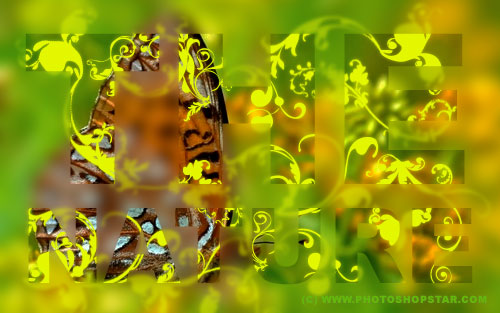 Nature Blur Effect Tutorial: Final Result