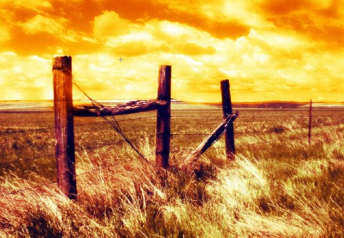 Render a Far Cry 2 Inspired Golden Sunset Scene in Photoshop image 15