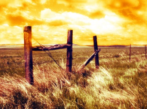 Render a Far Cry 2 Inspired Golden Sunset Scene in Photoshop image 17