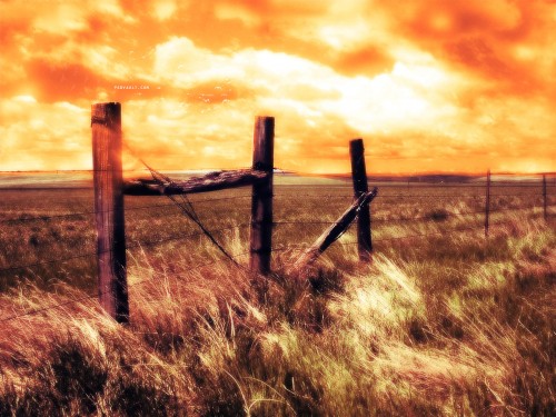 Render a Far Cry 2 Inspired Golden Sunset Scene in Photoshop Tutorial: Final Result