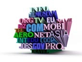 How to Select a Domain Name and a Web Host