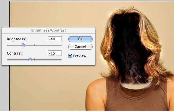How to Turn Yourself Invisible image 21