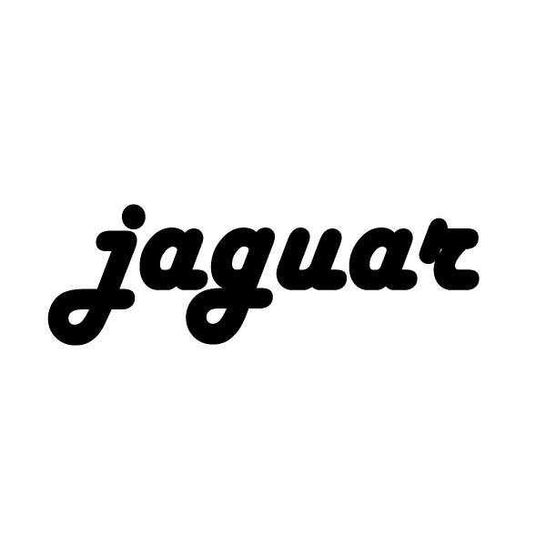 Jaguar Fur Text image 1