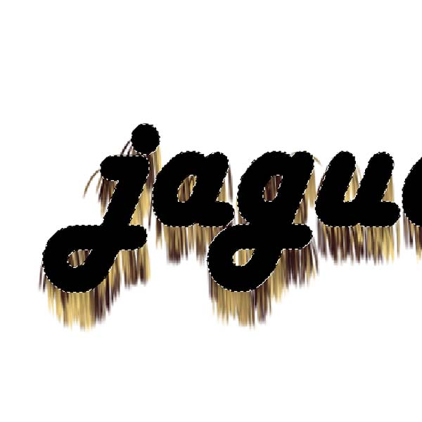 Jaguar Fur Text image 4