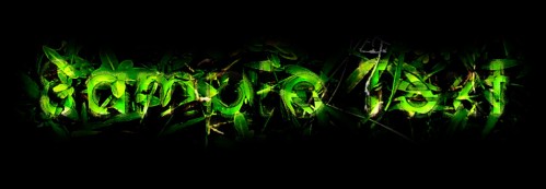 Design a Refreshing Natural Text Effect with Leaves and Wood Texture in Photoshop image 12