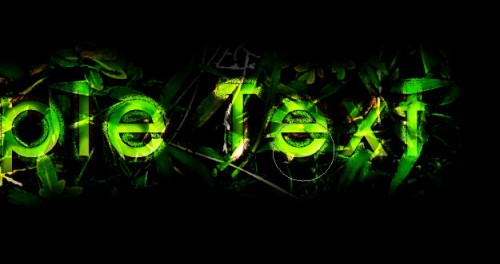Design a Refreshing Natural Text Effect with Leaves and Wood Texture in Photoshop image 13