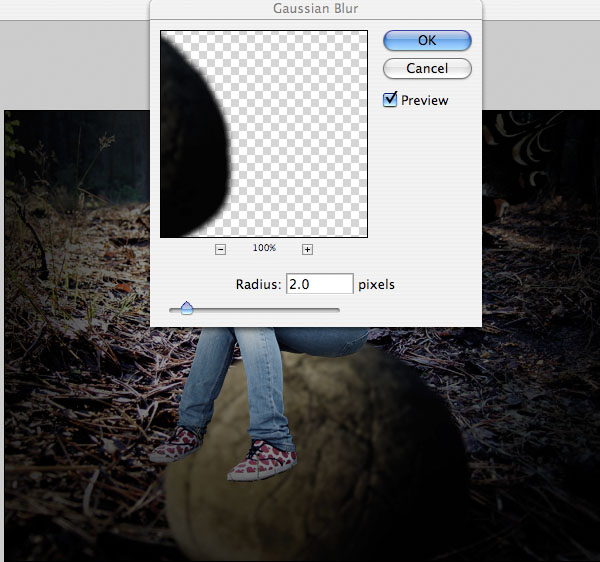 Photo-Manipulation: Lonely Fairy image 10