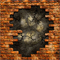 Material Image
