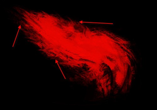 Design an Awesome Abstract Style Flaming Bird in Photoshop image 7