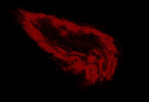 Design an Awesome Abstract Style Flaming Bird in Photoshop image 9