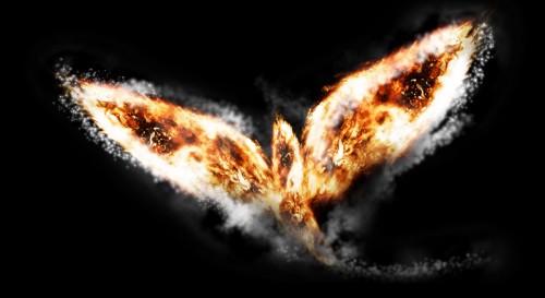 Design an Awesome Abstract Style Flaming Bird in Photoshop Tutorial: Final Result