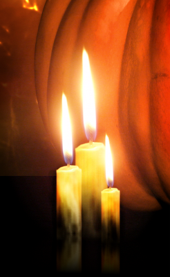 image 25