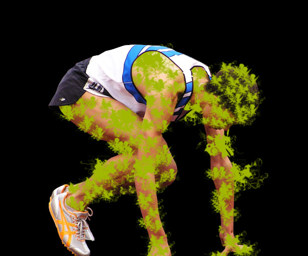 On outdoor background stock Homestar Runner Wallpaper. On outdoor background stock