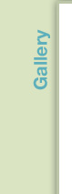 Website Gallery Layout Design image 13