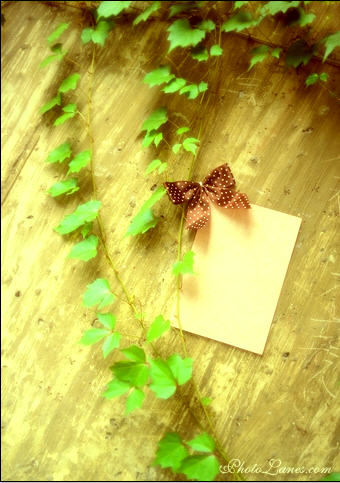 Create an Anniversary E-Card image 10