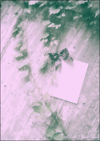 Create an Anniversary E-Card image 12