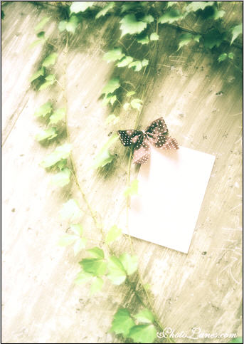Create an Anniversary E-Card image 13