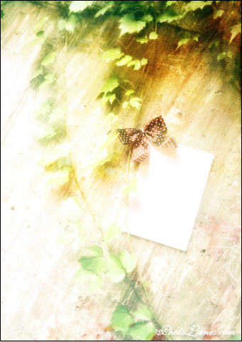 Create an Anniversary E-Card image 18
