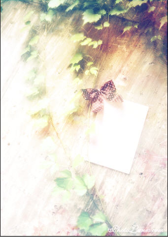 Create an Anniversary E-Card image 19