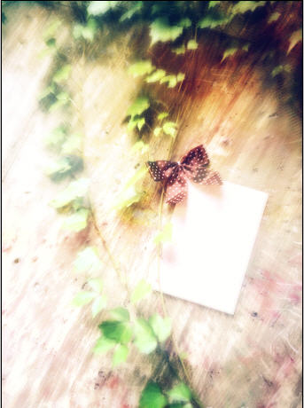 Create an Anniversary E-Card image 20