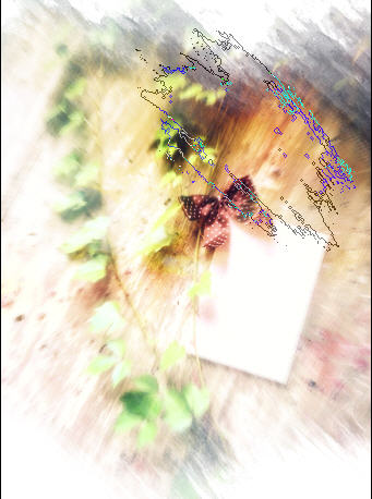 Create an Anniversary E-Card image 22