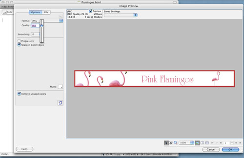 Test Driving Dreamweaver CS4 image 9