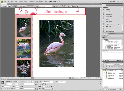 Test Driving Dreamweaver CS4 image 1