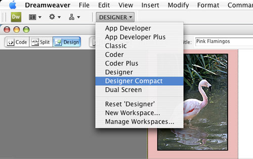 Test Driving Dreamweaver CS4 image 2