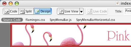 Test Driving Dreamweaver CS4 image 7