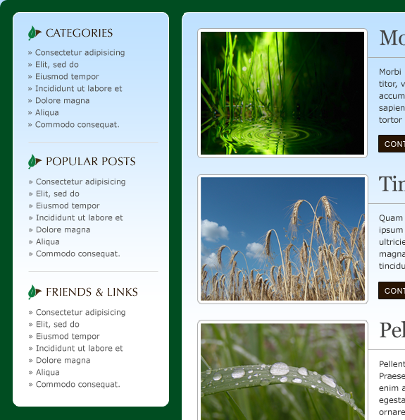 Design A Fresh Blog Theme On The 960 Grid image 25