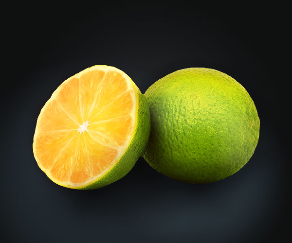image 17