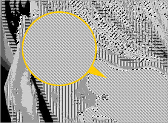 Creating an Unique Profile Image image 11