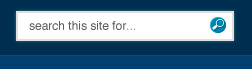 MyBlues WordPress Style Layout image 8