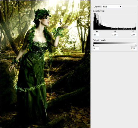 Making of a Forest Magical Scene image 16