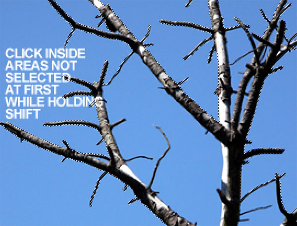 Create a Surreal Photo Manip image 17