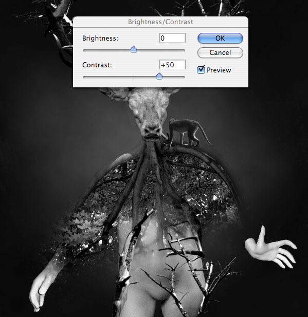 Create a Surreal Photo Manip image 25