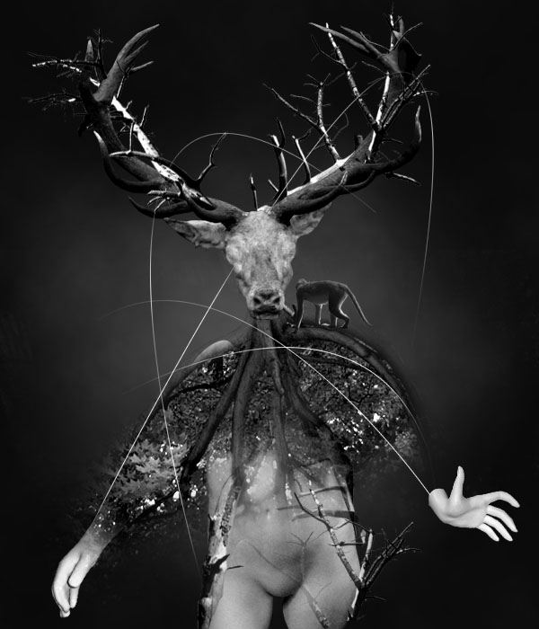 Create a Surreal Photo Manip image 27