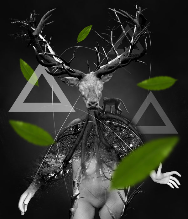 Create a Surreal Photo Manip image 30