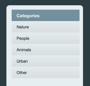 Clean Photo Gallery Website Layout image 16