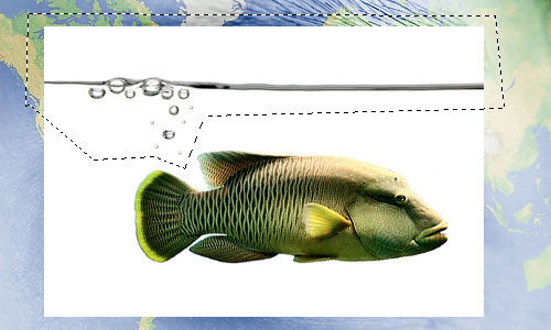 Photo Manipulation image 10
