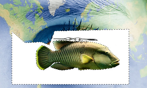 Photo Manipulation image 14