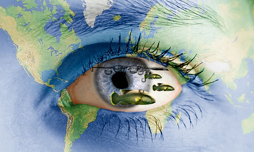 Photo Manipulation image 16