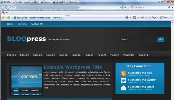 BLOOpress CSS Template image 16