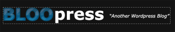 BLOOpress CSS Template image 9