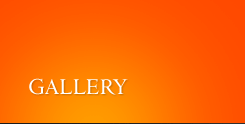 How to make a website for an interior design company image 4