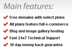 How to create a hosting company website based on a template image 8