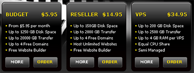 How to create a hosting company website based on a template image 5