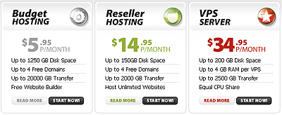 How to create a hosting company website based on a template image 6