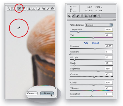 Extended Depth of Field With Auto-Blend Layers in Photoshop CS4 image 3