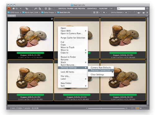 Extended Depth of Field With Auto-Blend Layers in Photoshop CS4 image 4
